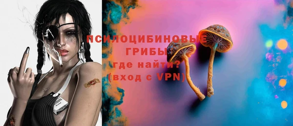ГАЛЛЮЦИНОГЕННЫЕ ГРИБЫ Корсаков