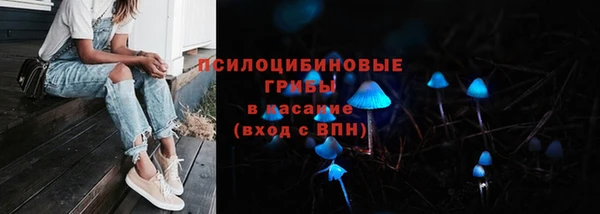 ГАЛЛЮЦИНОГЕННЫЕ ГРИБЫ Корсаков