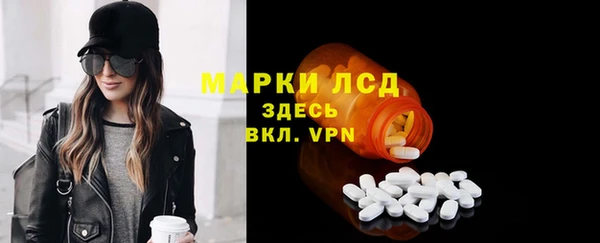 PSILOCYBIN Козловка