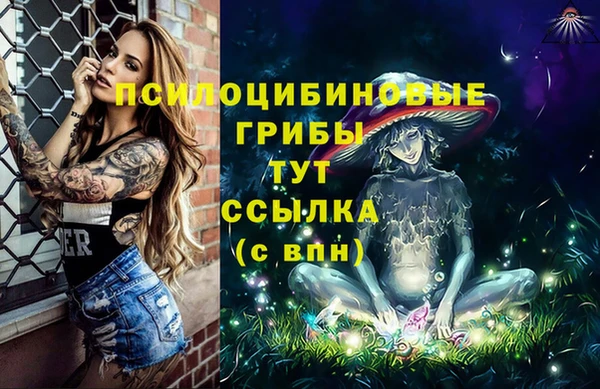 стаф Краснослободск