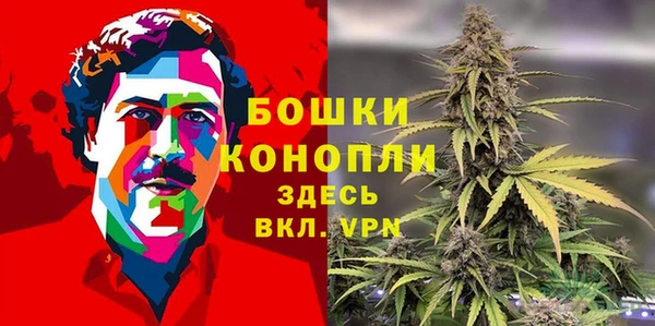 гидра Нефтегорск