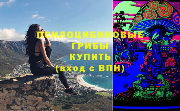 прущая мука Кодинск