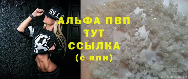 стаф Краснослободск