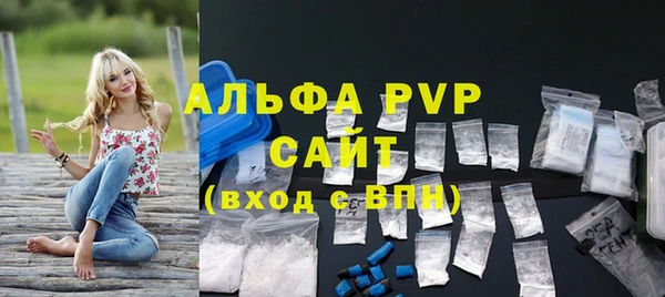 ГАЛЛЮЦИНОГЕННЫЕ ГРИБЫ Корсаков