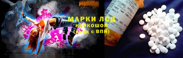 ГАЛЛЮЦИНОГЕННЫЕ ГРИБЫ Корсаков