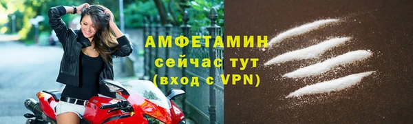 ГАЛЛЮЦИНОГЕННЫЕ ГРИБЫ Корсаков