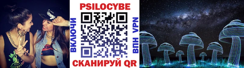 Псилоцибиновые грибы мухоморы  blacksprut ССЫЛКА  площадка официальный сайт  закладка  Нововоронеж 